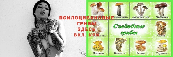 ГАЛЛЮЦИНОГЕННЫЕ ГРИБЫ Нязепетровск