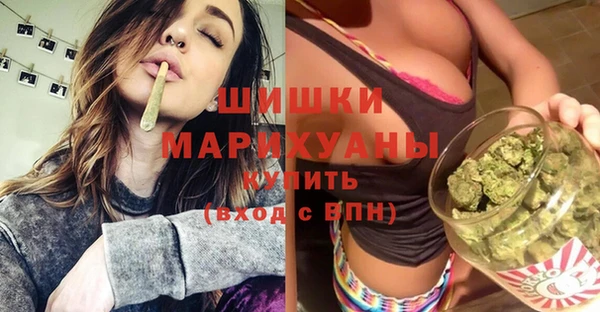 индика Осинники