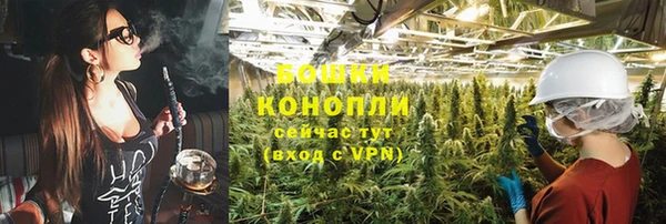 ALPHA-PVP Новозыбков